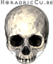 Flawless Skull Diablo 2 Resurrected