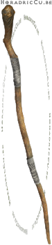 Gnarled Staff Diablo 2 Resurrected
